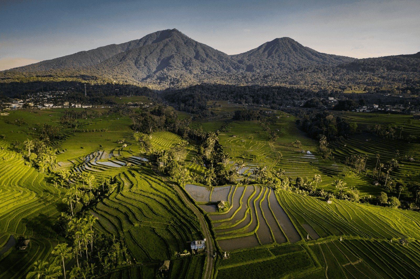 Jatiluwih & Tanah Lot: UNESCO Rice Terraces, Highland Coffee & Ocean Temple Sunset